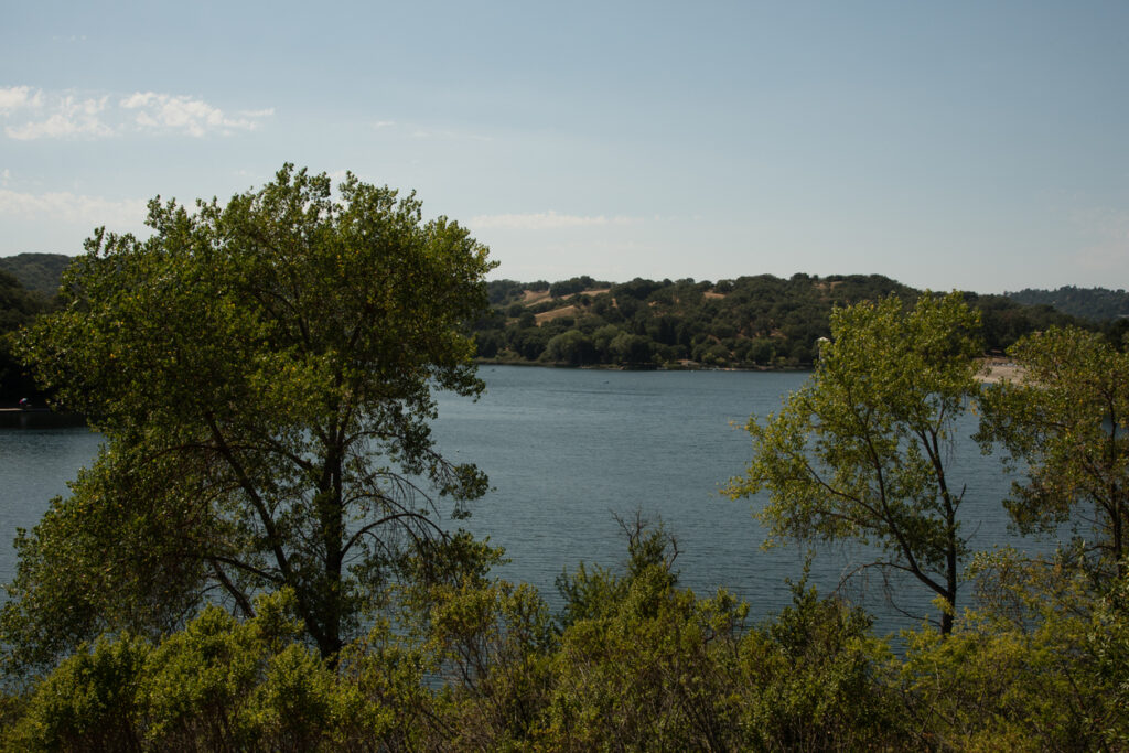 Lafayette family law firm